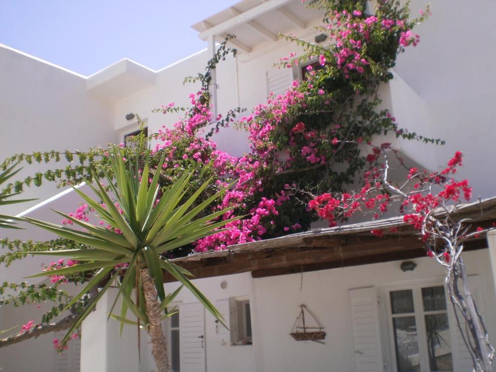 Paros Rita Studios Piso Livadi Eksteriør bilde