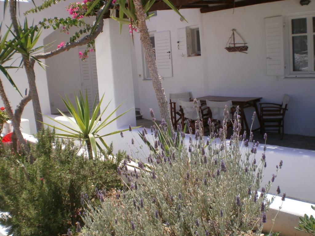 Paros Rita Studios Piso Livadi Eksteriør bilde